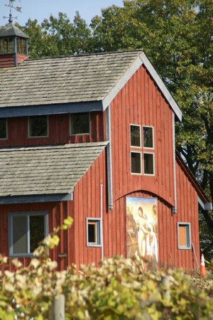 Provisional farm and animal sanctuary photography